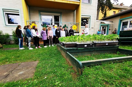 Zelenjavne sadike in projekt »Varno in spodbudno učno okolje« (5)